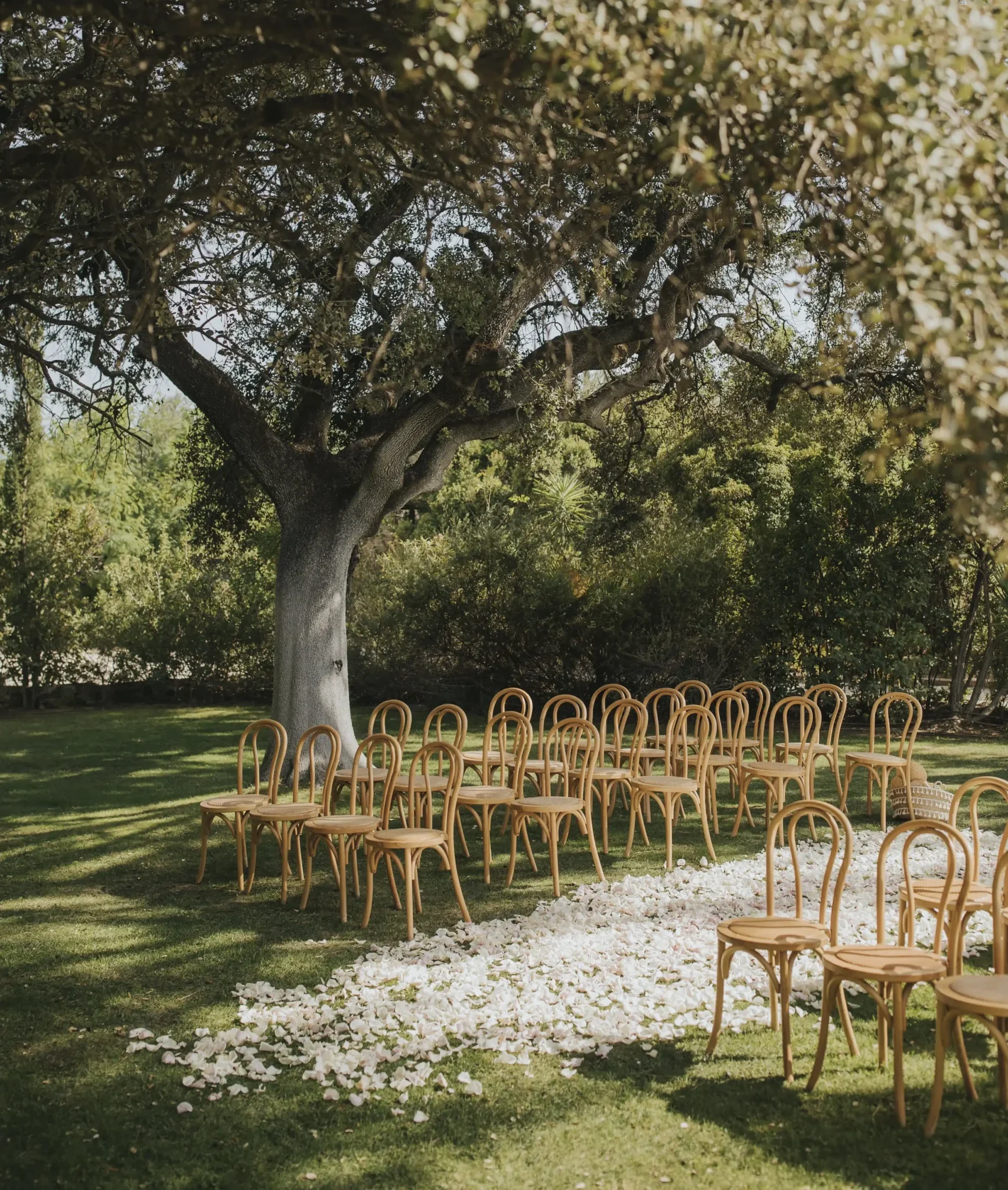 Wedding ceremony setup in garden lawn. Minimal decoration with wooden chairs and the aisle covered with petals. Algarve, Portugal intimate wedding.