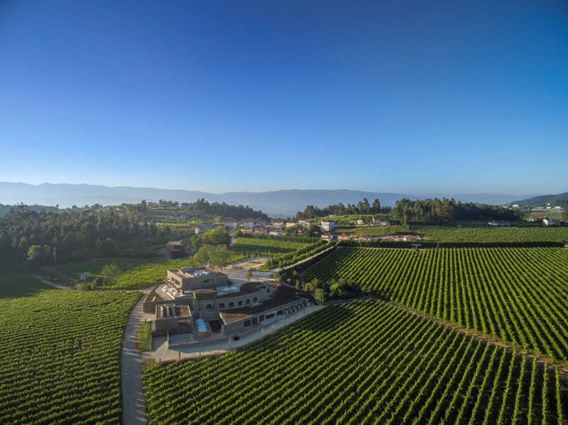 Douro Valley vineyards